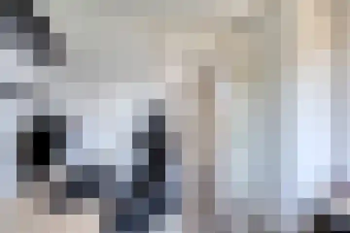 Componistenpad 4 Hellevoetsluis thumbnail 32