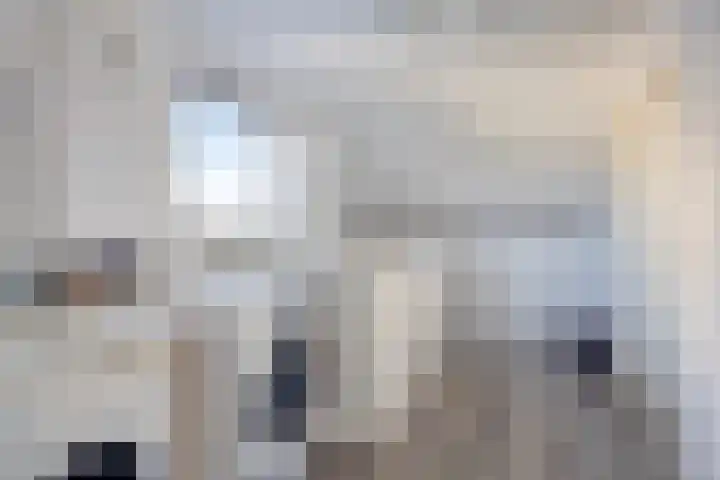 Componistenpad 4 Hellevoetsluis thumbnail 33