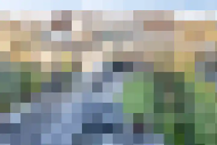 Componistenpad 4 Hellevoetsluis thumbnail 42