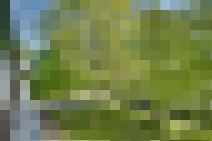 Concordialaan 24 's-Hertogenbosch thumbnail 22