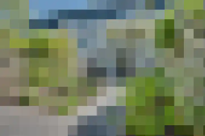 Concordialaan 24 's-Hertogenbosch thumbnail 23