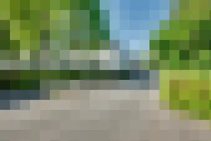 Concordialaan 24 's-Hertogenbosch thumbnail 30