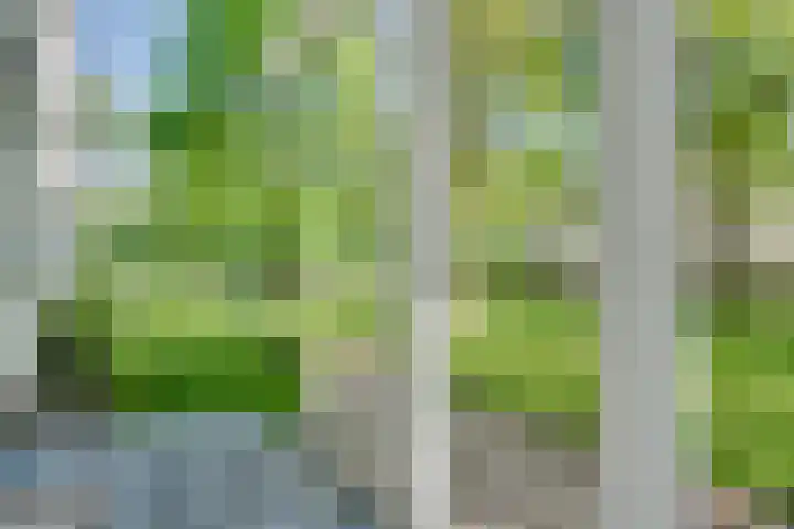 Concordialaan 24 's-Hertogenbosch thumbnail 31