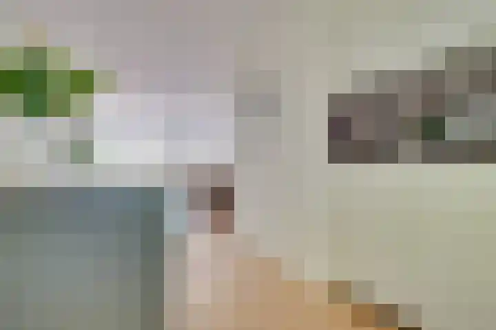 Concordialaan 24 's-Hertogenbosch thumbnail 9