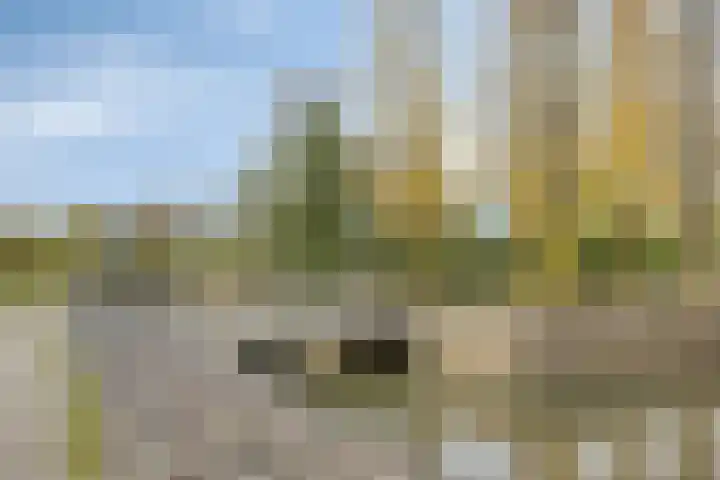 Concordialaan 93 's-Hertogenbosch thumbnail 33