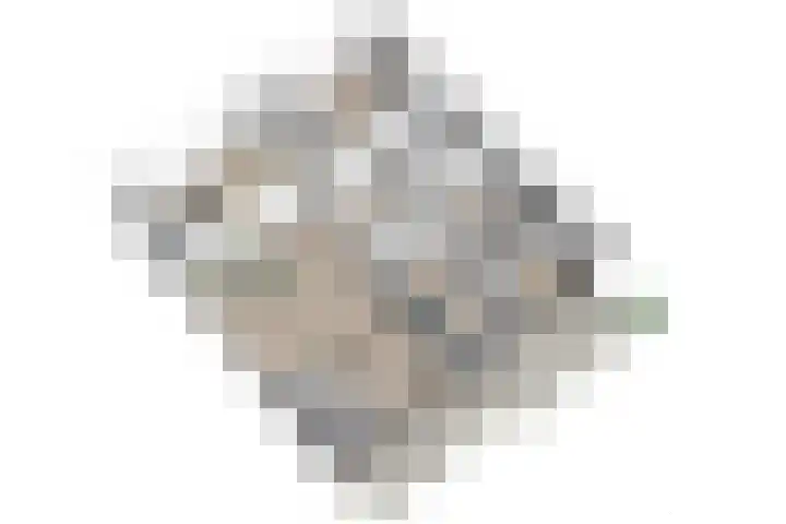 Condorhorst 113 Leiden thumbnail 43