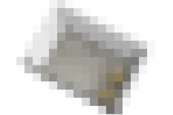 Condorhorst 113 Leiden thumbnail 45