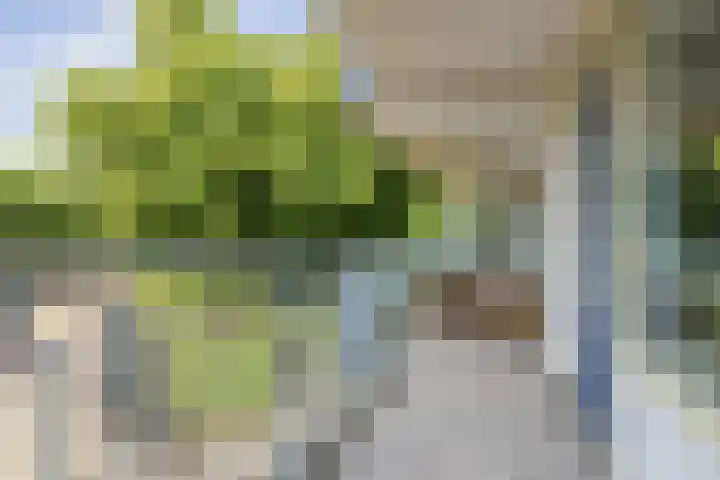 Condorhorst 19 Leiden thumbnail 10
