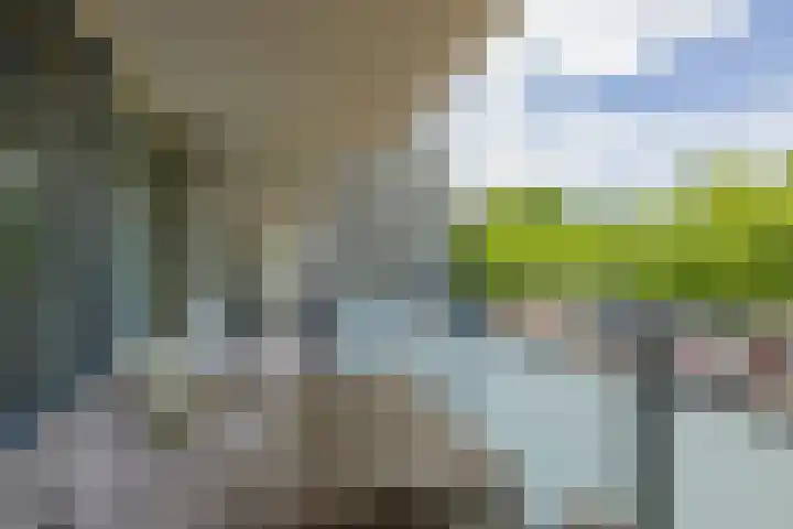 Condorhorst 19 Leiden thumbnail 12