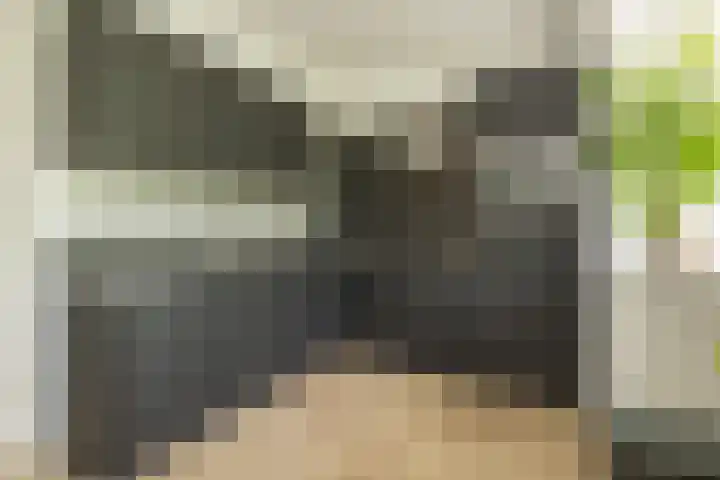 Condorhorst 19 Leiden thumbnail 17
