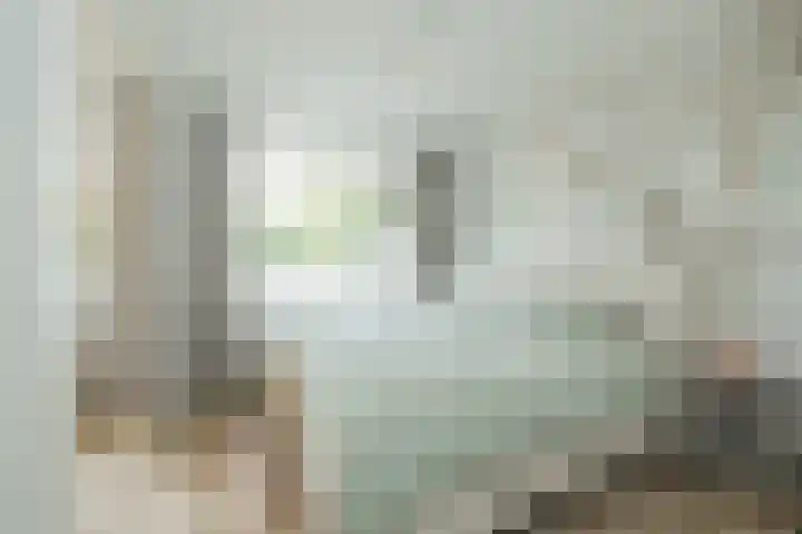 Condorhorst 19 Leiden thumbnail 20