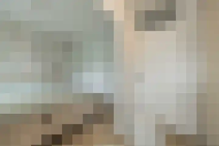 Condorhorst 19 Leiden thumbnail 23