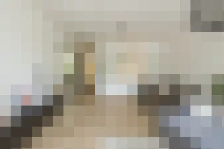 Condorhorst 19 Leiden thumbnail 9