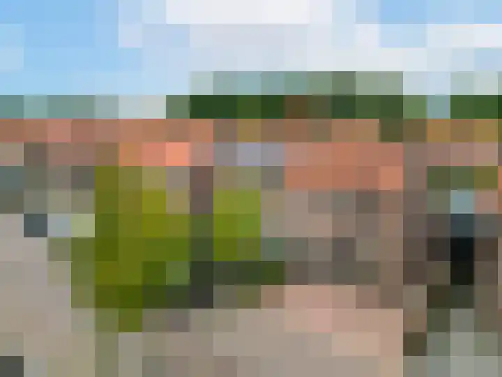 Condorstraat 13 Oss thumbnail 5