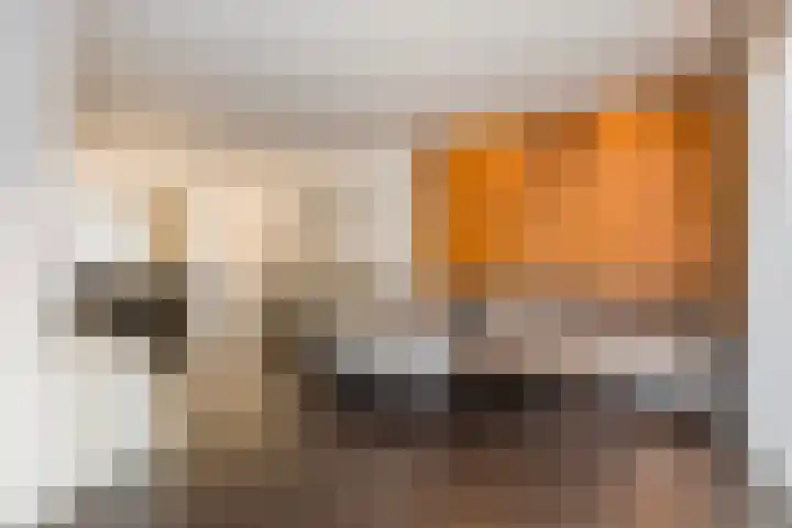 Condorstraat 42 Oss thumbnail 9