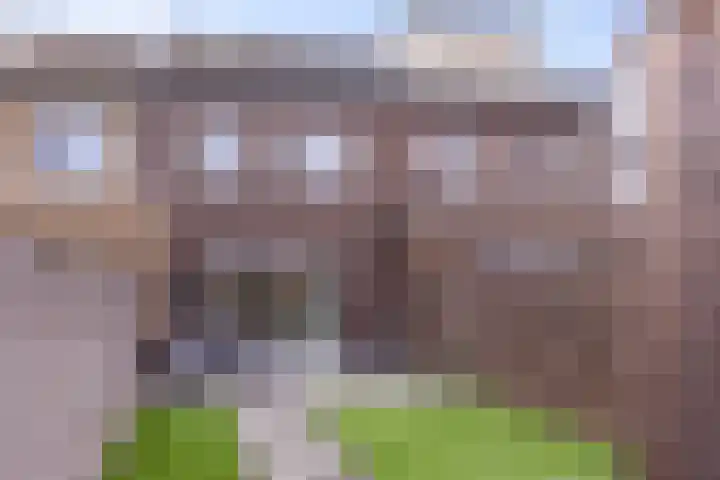 Conerij 22 Ede thumbnail 17