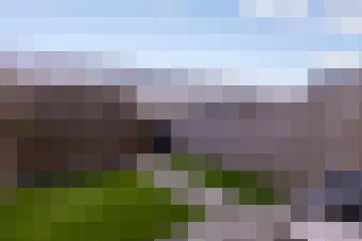 Conerij 22 Ede thumbnail 19
