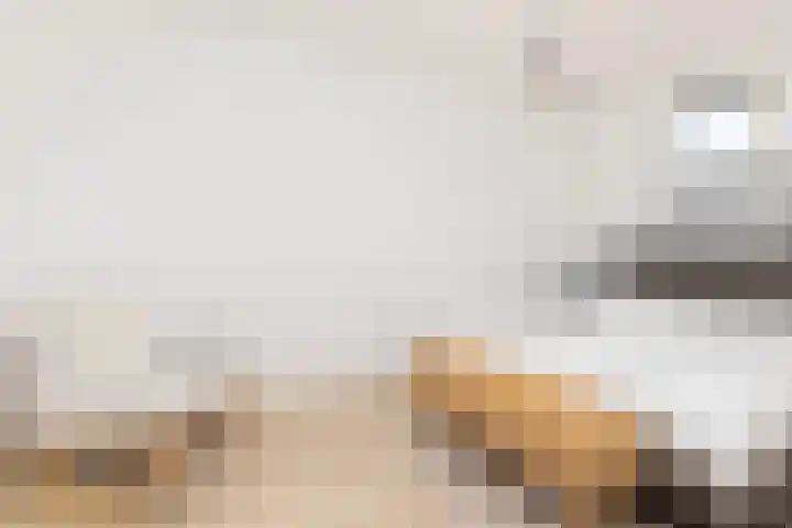 Conerij 22 Ede thumbnail 23