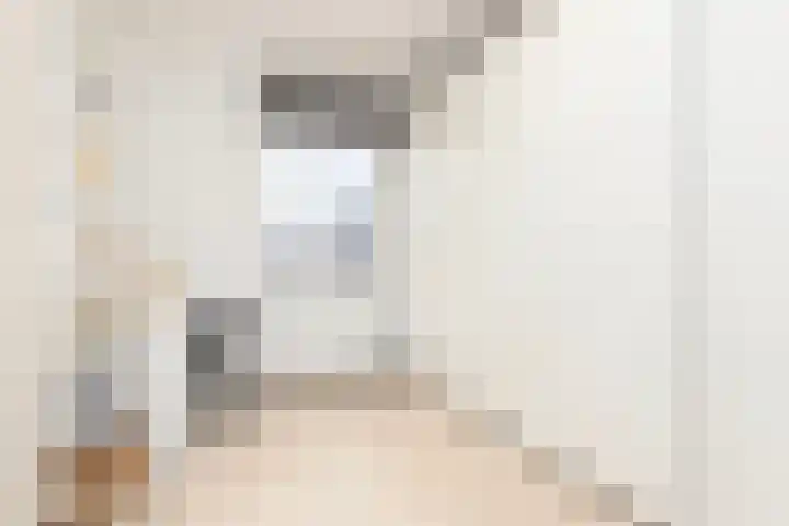 Conerij 22 Ede thumbnail 24