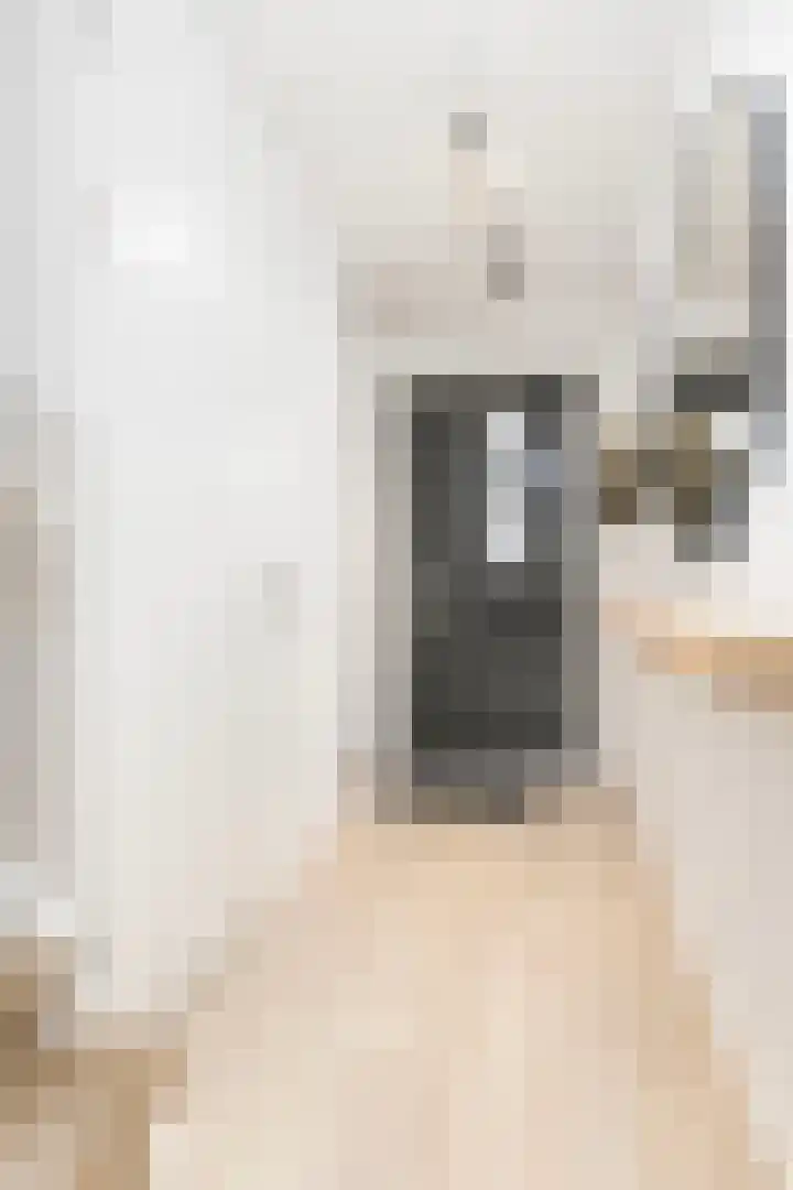 Conerij 22 Ede thumbnail 6