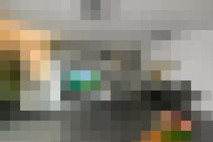 Conference 16 Elst thumbnail 13