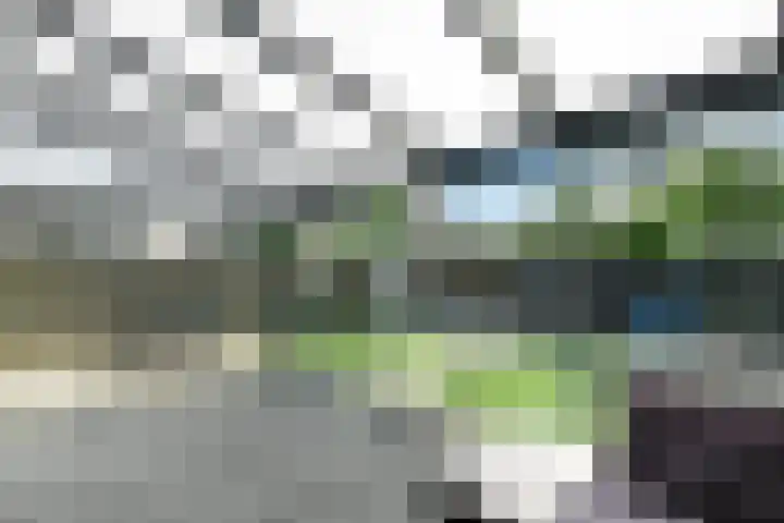 Conference 16 Elst thumbnail 19