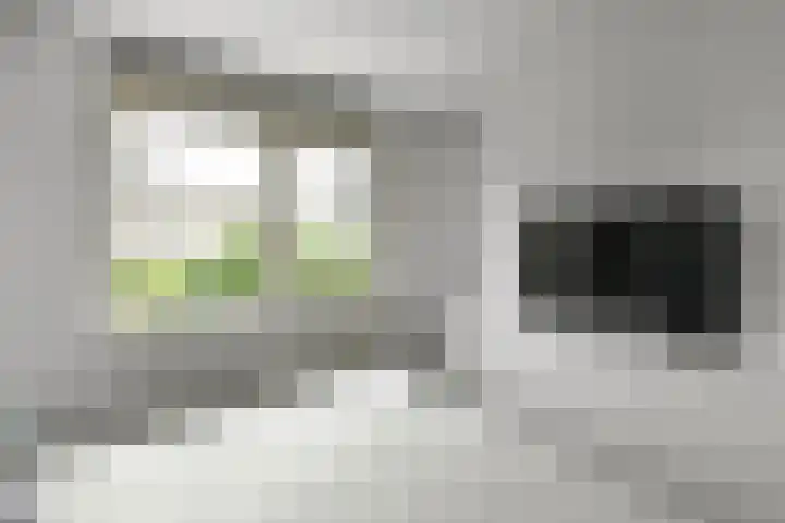Conference 16 Elst thumbnail 22