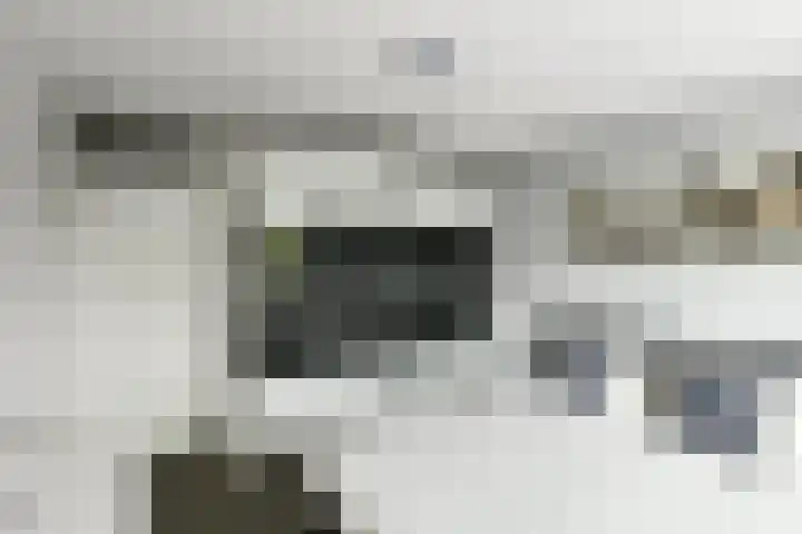 Conference 16 Elst thumbnail 25