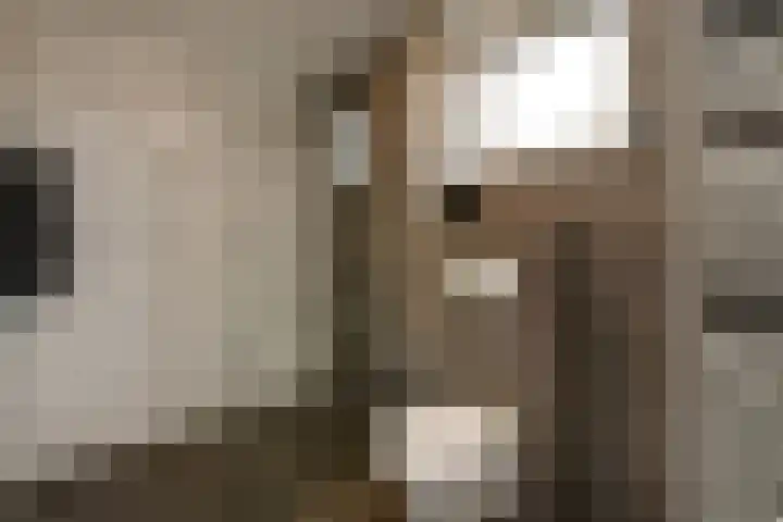 Conference 16 Elst thumbnail 31