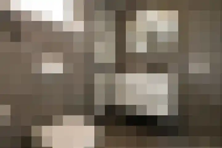 Conference 16 Elst thumbnail 33