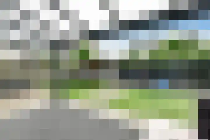 Conference 16 Elst thumbnail 40