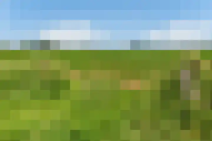 Conference 16 Elst thumbnail 5