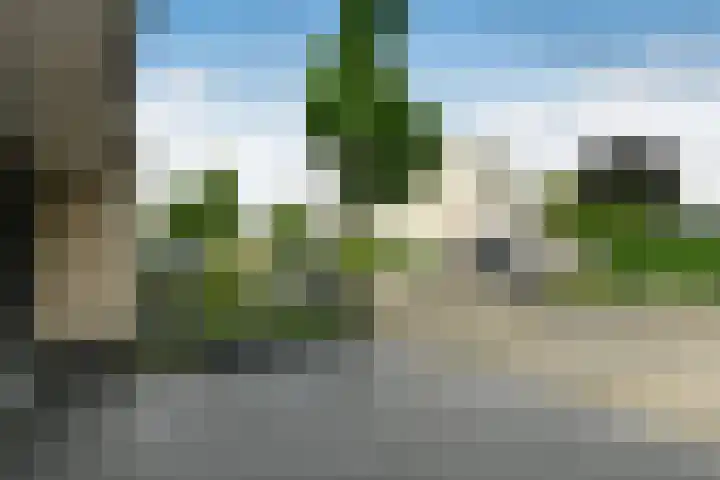 Conference 16 Elst thumbnail 7