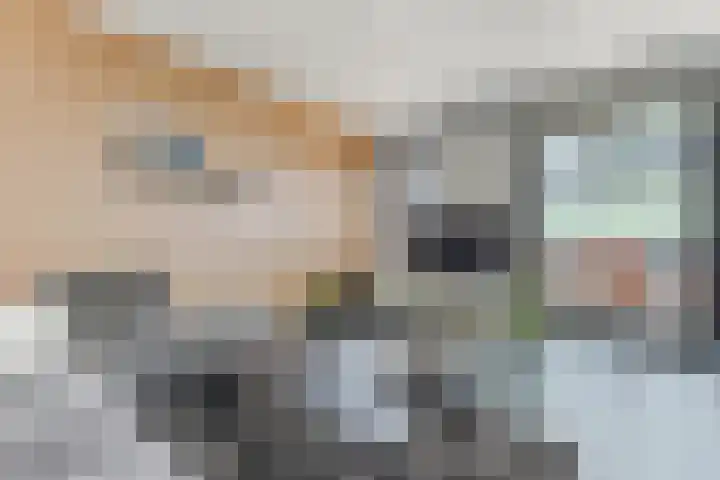 Conny Stuartstraat 15 Amsterdam thumbnail 22