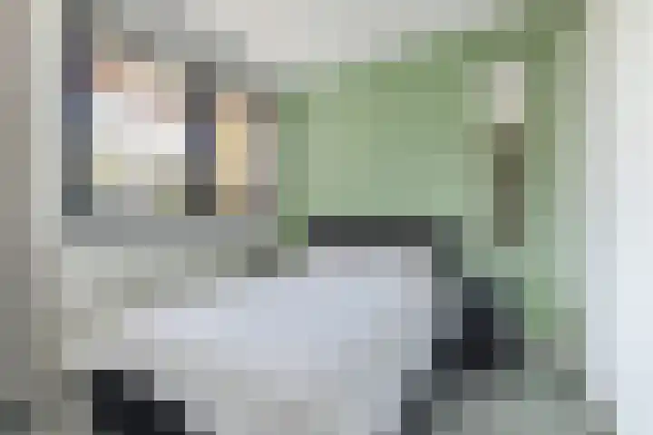 Conny Stuartstraat 15 Amsterdam thumbnail 30