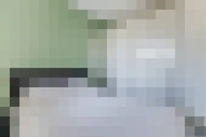 Conny Stuartstraat 15 Amsterdam thumbnail 31