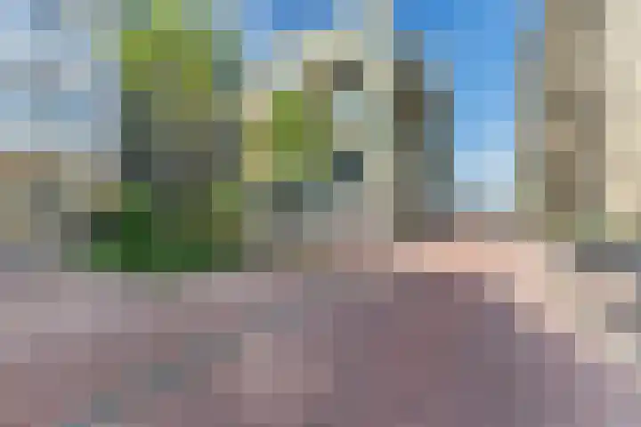 Conny Stuartstraat 15 Amsterdam thumbnail 8
