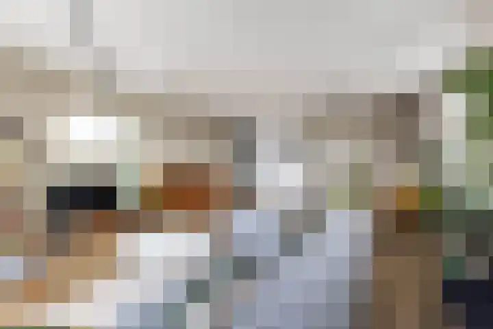 Conny Stuartstraat 41 Amsterdam thumbnail 17