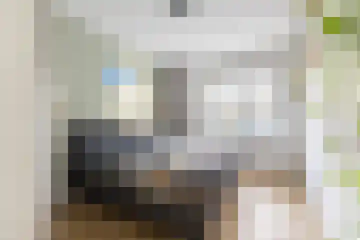 Conny Stuartstraat 41 Amsterdam thumbnail 4