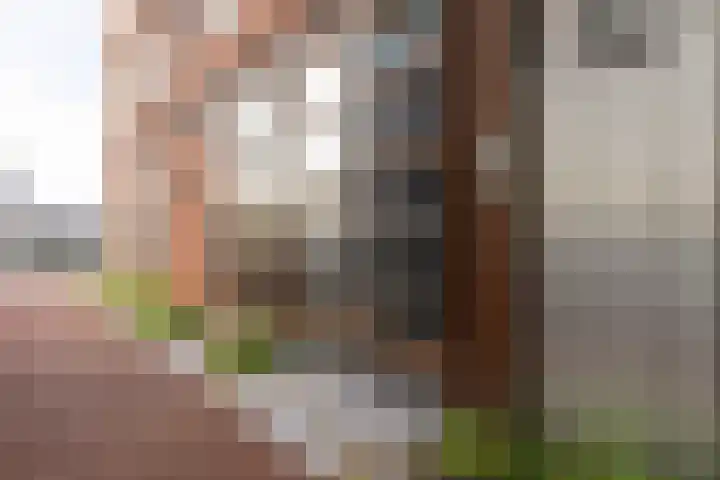 Conny Stuartstraat 41 Amsterdam thumbnail 6