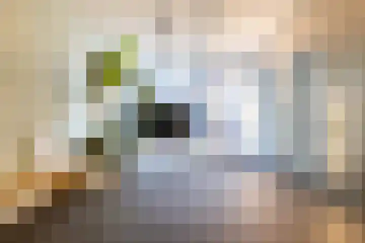 Conny Stuartstraat 41 Amsterdam thumbnail 7