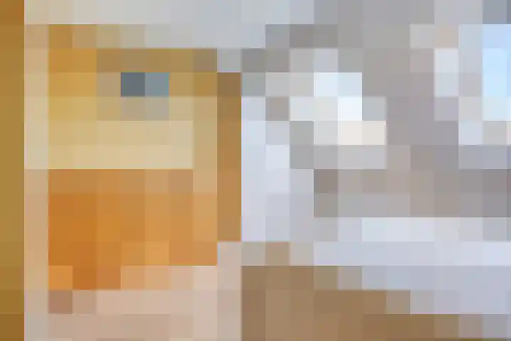 Conraadstraat 14 's-Hertogenbosch thumbnail 23