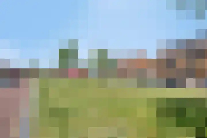 Conraadstraat 14 's-Hertogenbosch thumbnail 32