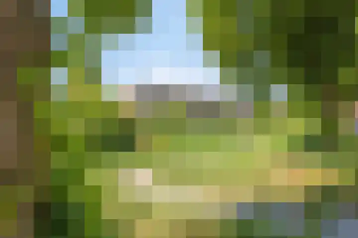 Conraadstraat 14 's-Hertogenbosch thumbnail 33