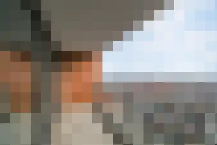 Conradwerf 228 Zaandam thumbnail 25