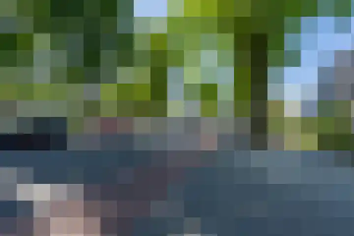 Conservatoriumlaan 173 Tilburg thumbnail 39