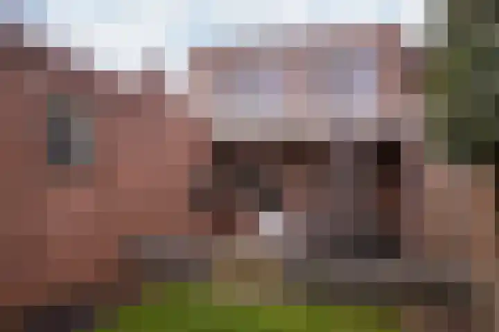Const Huygensstraat 21 Elsloo thumbnail 22