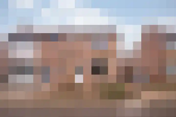 Const Huygensstraat 21 Elsloo thumbnail 23