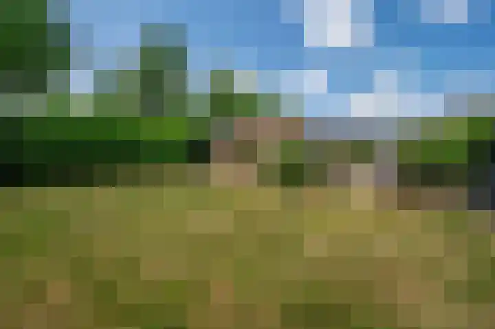 Constantijnlaan 2 Venlo thumbnail 20