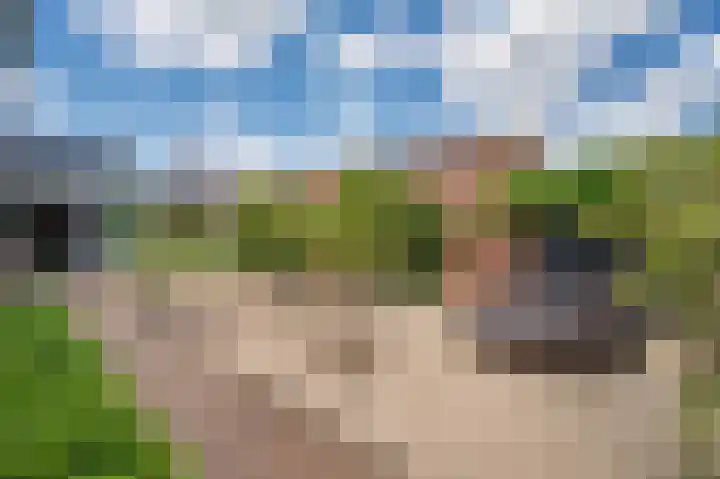 Constantijnlaan 2 Venlo thumbnail 21